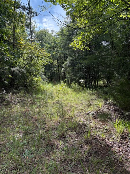 Elberton, GA 30635 Elbert County