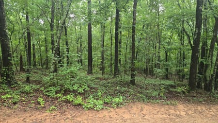 Athens, GA 30601 Clarke County