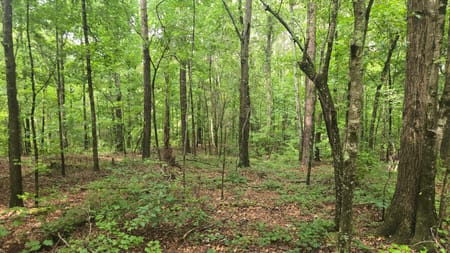 Athens, GA 30601 Clarke County