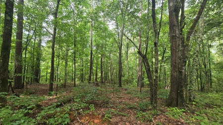 Athens, GA 30601 Clarke County