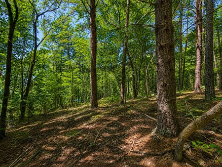 Talking Rock, GA 30175 Gilmer County
