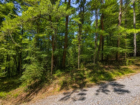 Talking Rock, GA 30175 Gilmer County