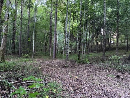 Winder, GA 30680 Barrow County