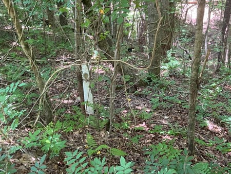 Ellijay, GA 30540 Gilmer County