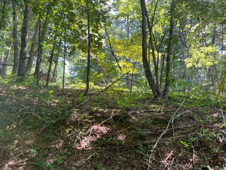 Ellijay, GA 30540 Gilmer County
