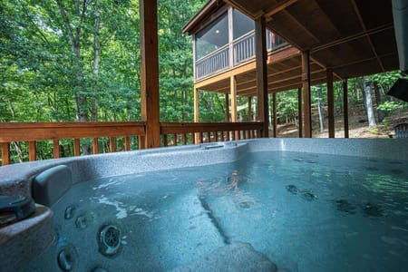 Mineral Bluff, GA 30559 Fannin County