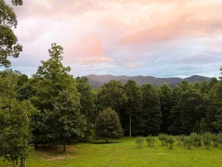 Young Harris, GA 30582 Union County