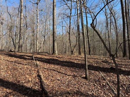 Talking Rock, GA 30175 Gilmer County
