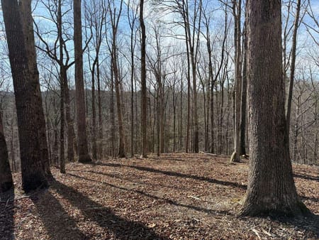 Talking Rock, GA 30175 Gilmer County