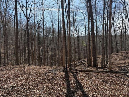 Talking Rock, GA 30175 Gilmer County