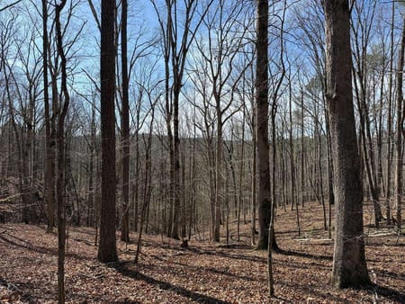 Talking Rock, GA 30175 Gilmer County