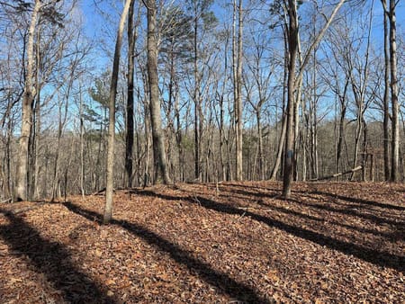 Talking Rock, GA 30175 Gilmer County
