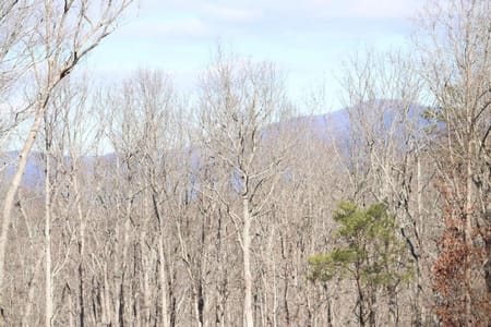 Ellijay, GA 30536 Gilmer County