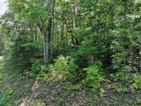 Ellijay, GA 30536 Gilmer County