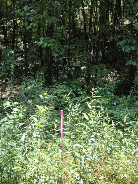 Ellijay, GA 30540 Gilmer County