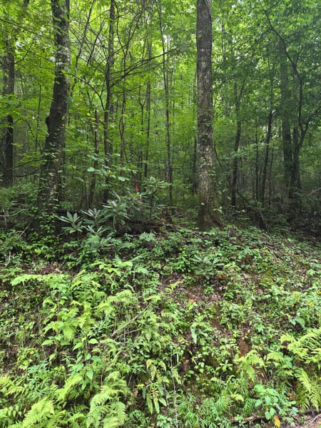 Ellijay, GA 30540 Gilmer County
