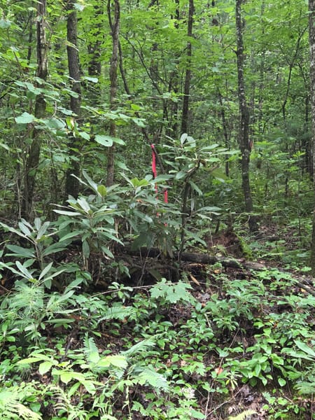 Ellijay, GA 30540 Gilmer County