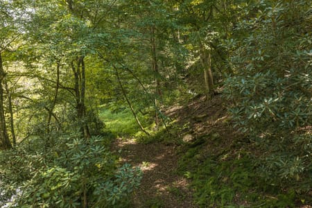 Ellijay, GA 30540 Gilmer County