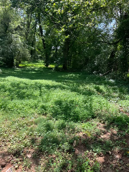 Clarkesville, GA 30523 Habersham County