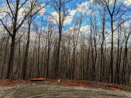 Murrayville, GA 30564 Lumpkin County