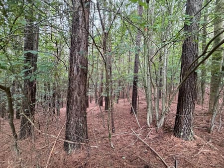 East Ellijay, GA 30536 Gilmer County