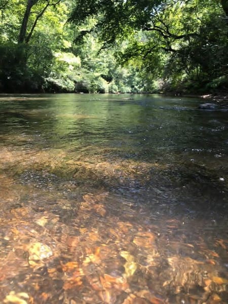 Ellijay, GA 30540 Gilmer County