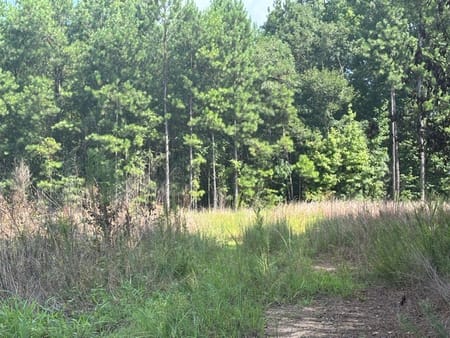 Loganville, GA 30052 Walton County