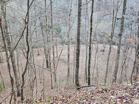 Talking Rock, GA 30175 Gilmer County