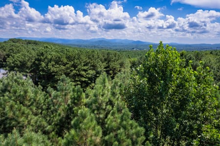 East Ellijay, GA 30536 Gilmer County