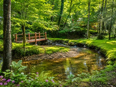 Ellijay, GA 30540 Gilmer County