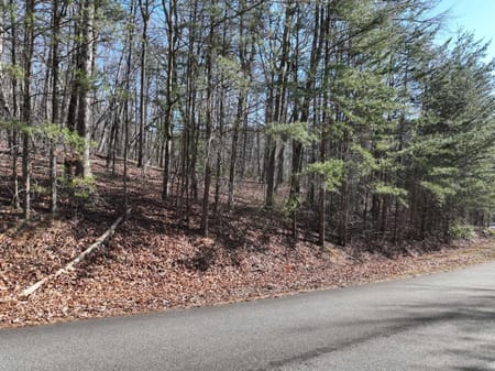 Ellijay, GA 30536 Gilmer County