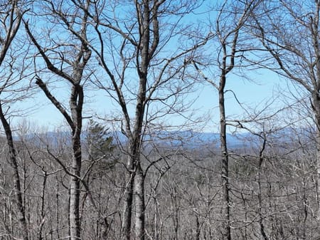 Ellijay, GA 30536 Gilmer County