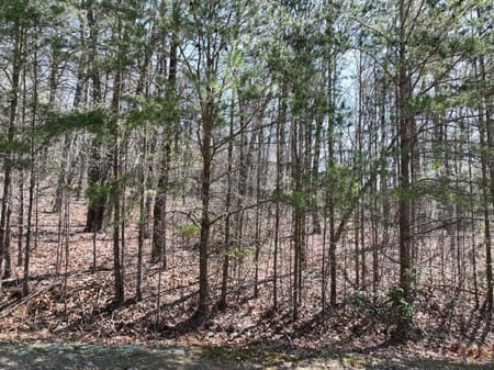 Ellijay, GA 30536 Gilmer County