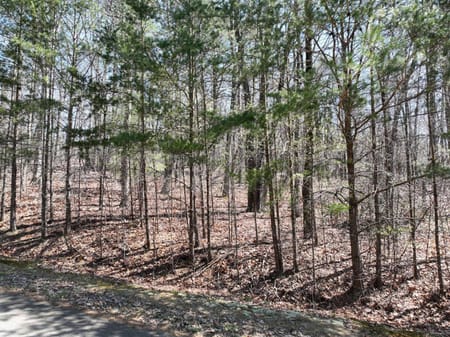 Ellijay, GA 30536 Gilmer County