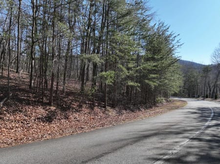 Ellijay, GA 30536 Gilmer County