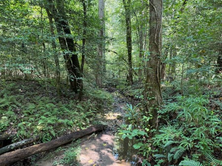Sautee Nacoochee, GA 30571 White County