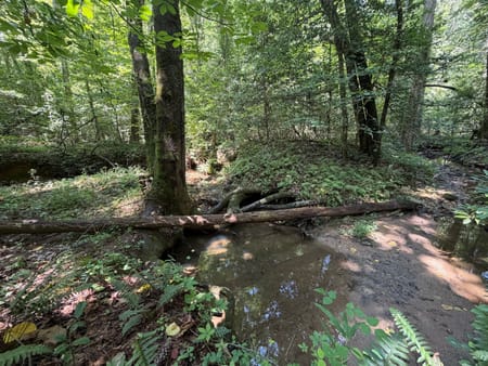 Sautee Nacoochee, GA 30571 White County