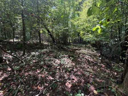 Sautee Nacoochee, GA 30571 White County
