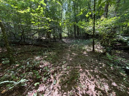 Sautee Nacoochee, GA 30571 White County