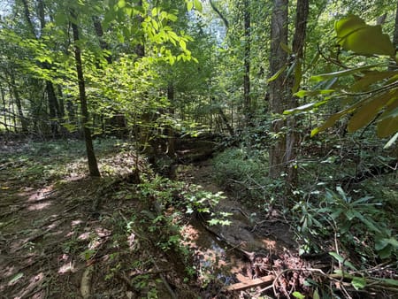 Sautee Nacoochee, GA 30571 White County