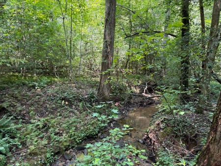 Sautee Nacoochee, GA 30571 White County