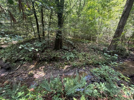 Sautee Nacoochee, GA 30571 White County
