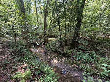Sautee Nacoochee, GA 30571 White County