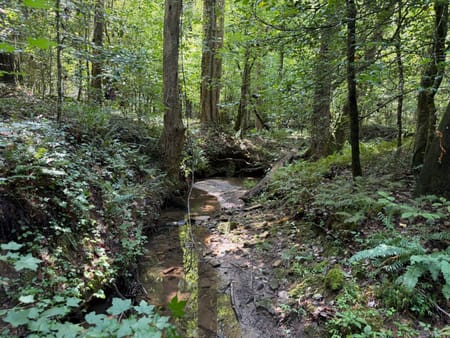 Sautee Nacoochee, GA 30571 White County