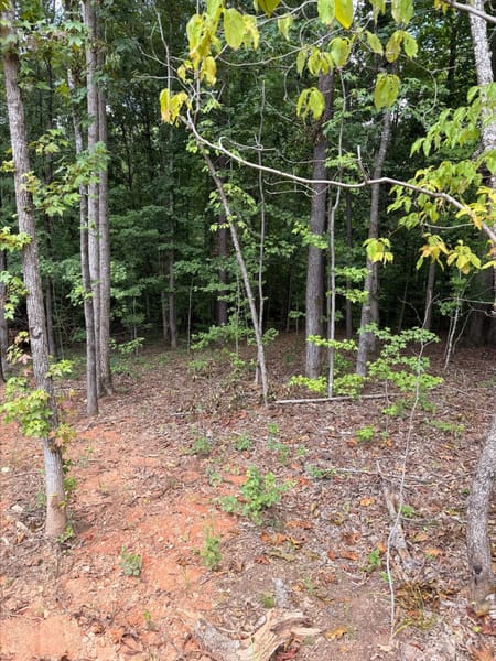 Greensboro, GA 30642 Greene County