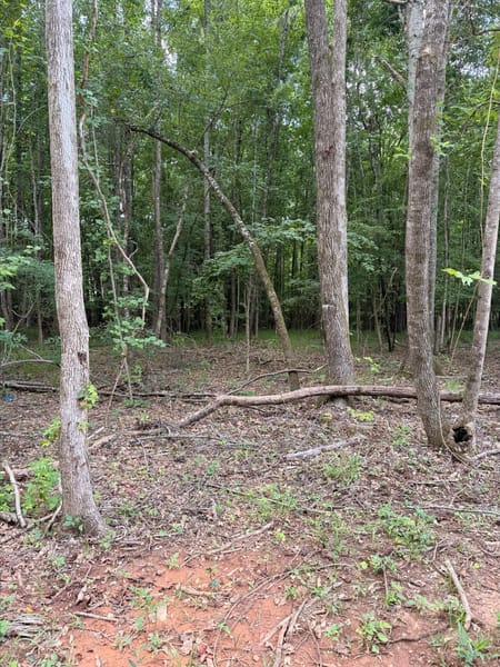 Greensboro, GA 30642 Greene County