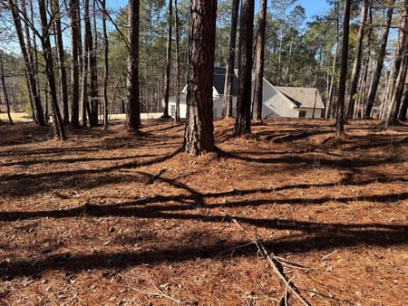 Greensboro, GA 30642 Greene County