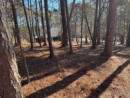 Greensboro, GA 30642 Greene County