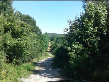 Monticello, GA 31064 Jasper County