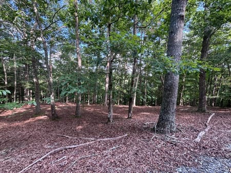 Blairsville, GA 30512 Union County